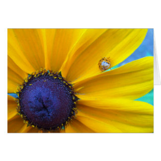 Sending you some sunshine