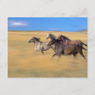 Seneca, Oregon, USA Postcard