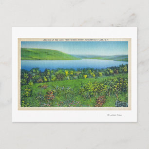 Seneca Point View of the Lake Postcard