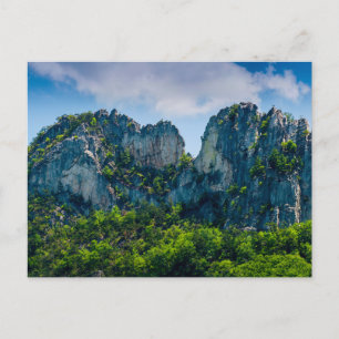 Seneca Rocks in Summer, West Virginia Postcard
