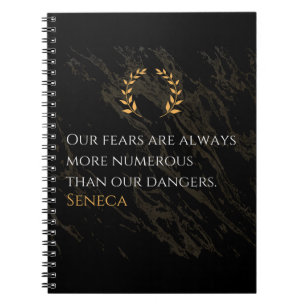 Seneca's Insight: Fears Compared to Real Dangers Notebook