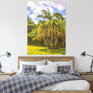 Senegal Date Palm Stretched Canvas Print
