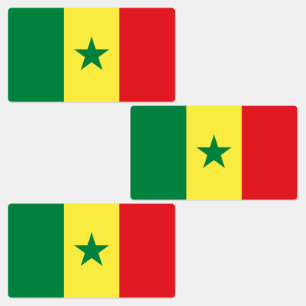 Senegal Flag