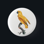 Senegal Parrot 3 Cm Round Badge<br><div class="desc">Senegal Parrot from Natural History of Parrots (1801—1805) by Francois Levaillant.</div>