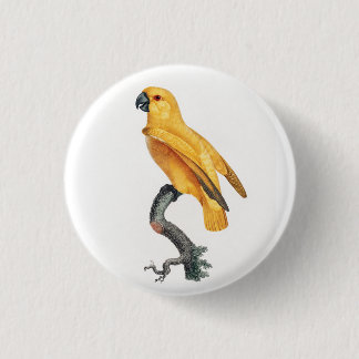 Senegal Parrot 3 Cm Round Badge