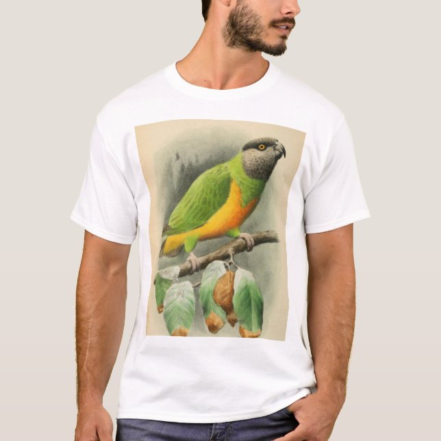 Senegal Parrot, adult male T-Shirt (Front)