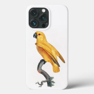 Senegal Parrot iPhone 13 Pro Case