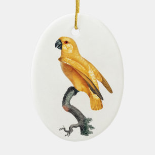 Senegal Parrot Ceramic Tree Decoration