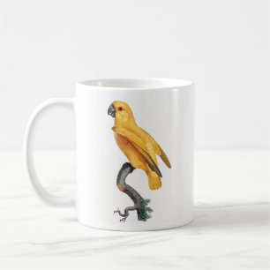 Senegal Parrot Coffee Mug