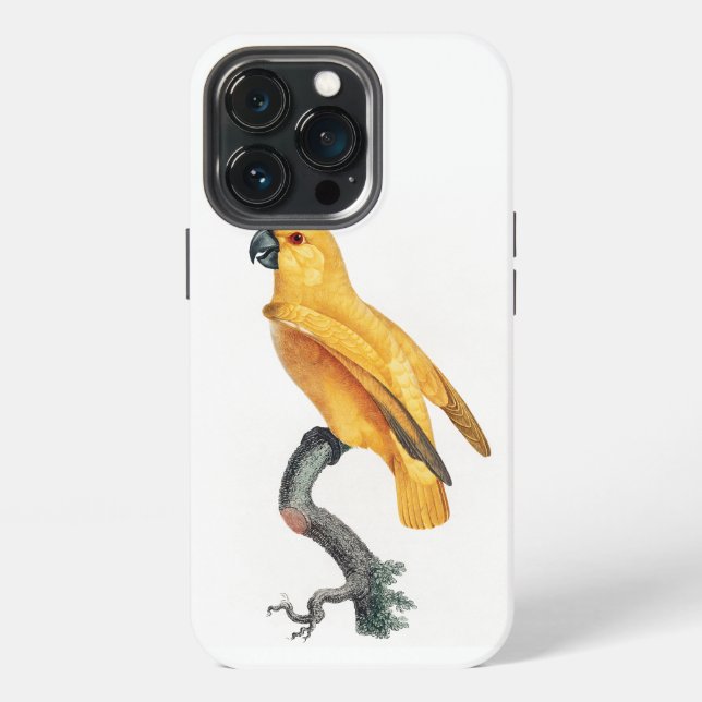 Senegal Parrot iPhone Case (Back)