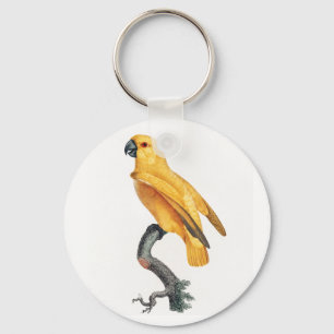Senegal Parrot Key Ring