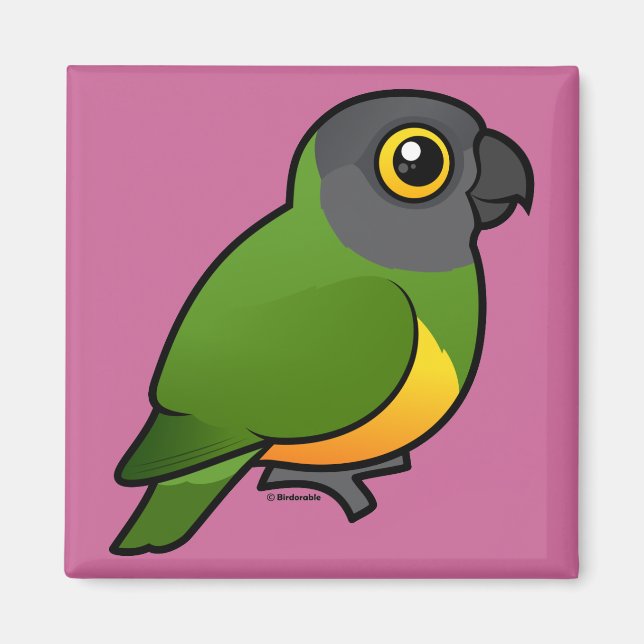 Senegal Parrot Magnet (Front)