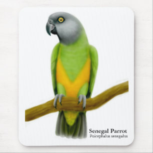Senegal Parrot Mousepad
