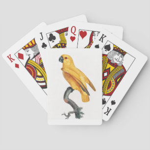 Senegal Parrot Playing Cards