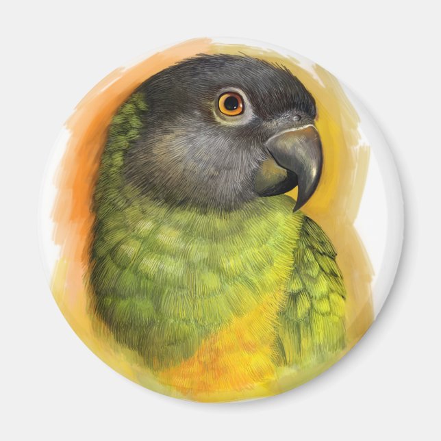Senegal parrot realistic painting magnet (Front)
