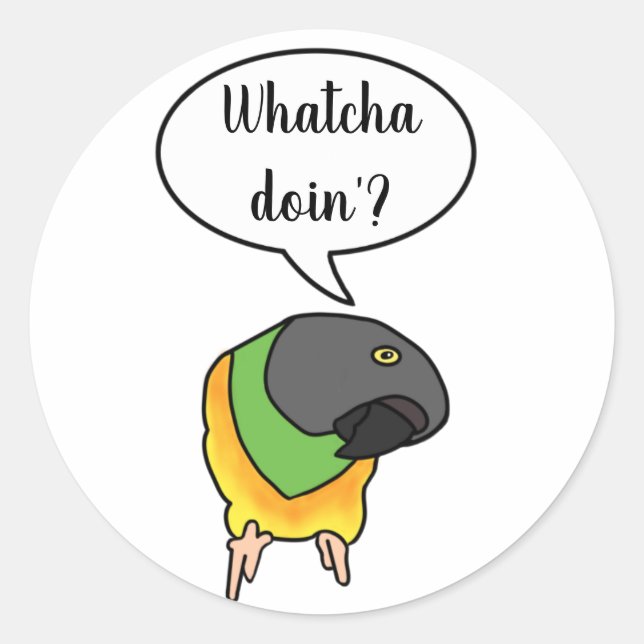 Senegal Parrot Sticker (Front)