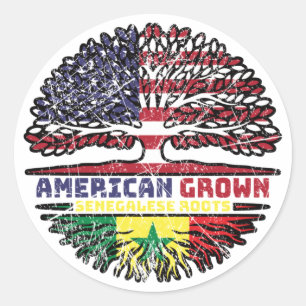 Senegal Senegalese US American USA United States Classic Round Sticker