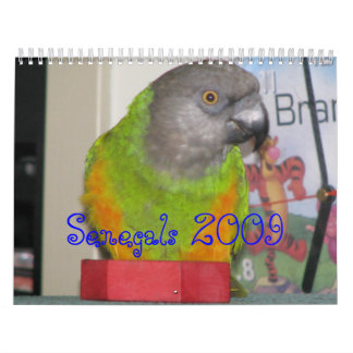 Senegals 2009 Calendar - Customised