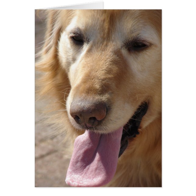 Senior Golden (Front)