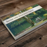 Senior Life Insurance Agent
