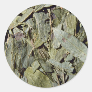 Senna leaves classic round sticker