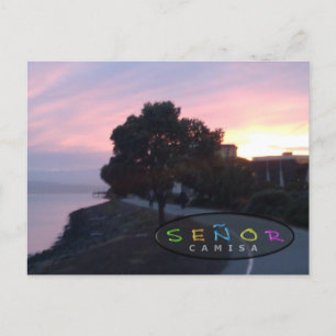 Señor Camisa Creative Sunrise Postcard