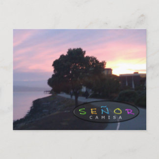 Señor Camisa Creative Sunrise Postcard