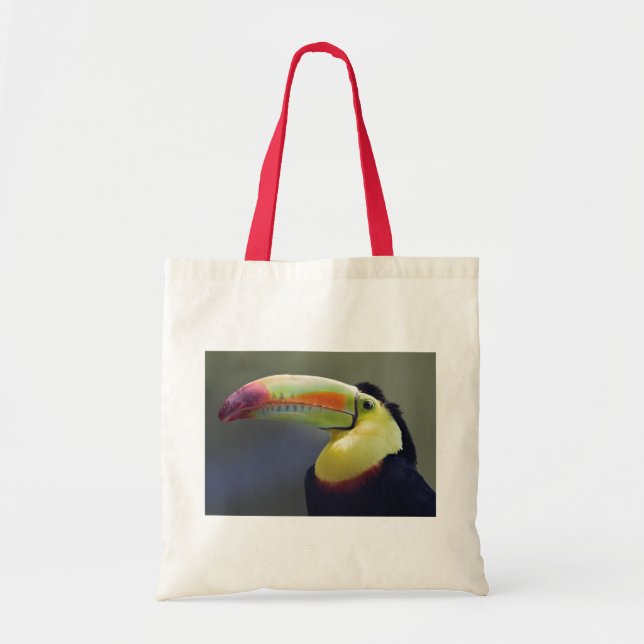 Senor Tuco Bag (Front)