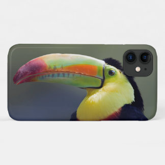 Senor Tuco iPhone 11 Case
