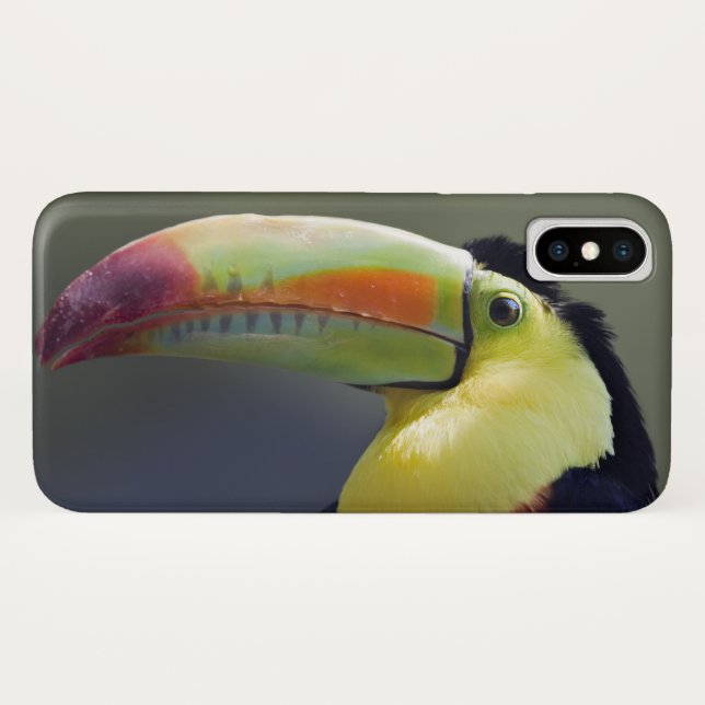 Senor Tuco iPhone X Case (Back (Horizontal))