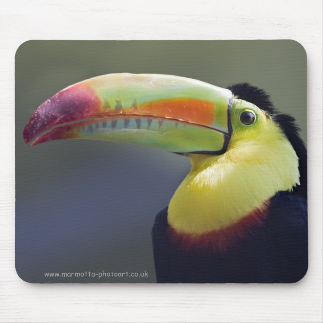 Senor Tuco Mousemat (Front)