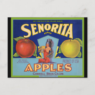 Senorita Apples San Francisco Postcard