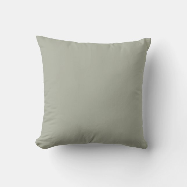 Sensible Sage Green Solid Colour Pairs SW 0066 Cushion (Front)