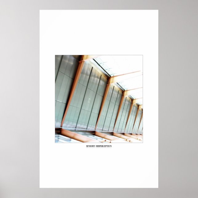Sensory Misperception Poster (Front)