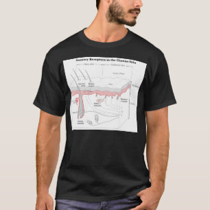 Sensory Receptors in the Human Skin Diagram T-Shirt