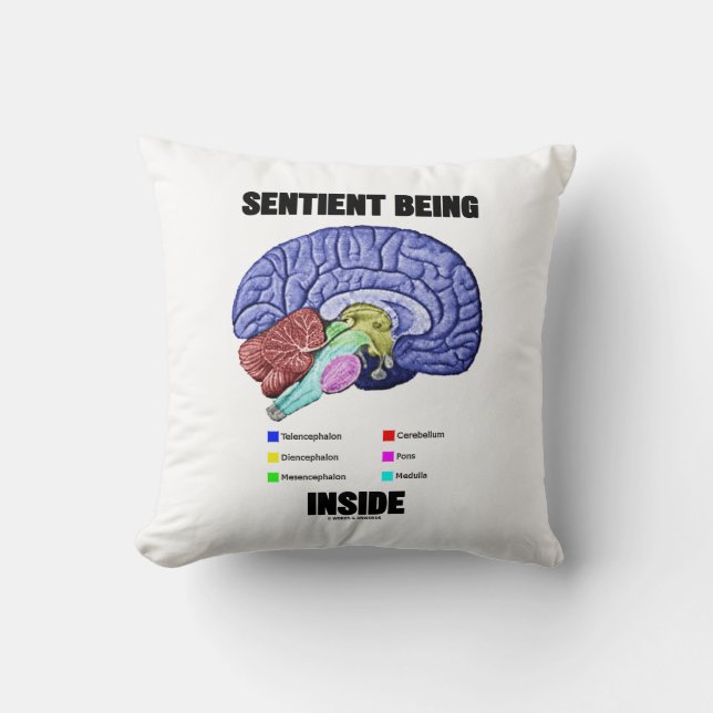 Sentient Being Inside Anatomical Brain Cushion (Front)