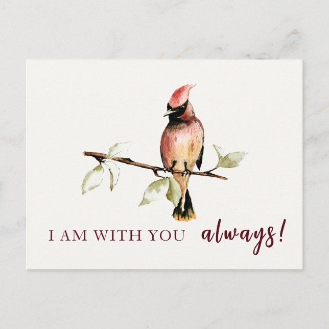 Sentimental I Am With You Always Red Cardinal Postcard (Front)