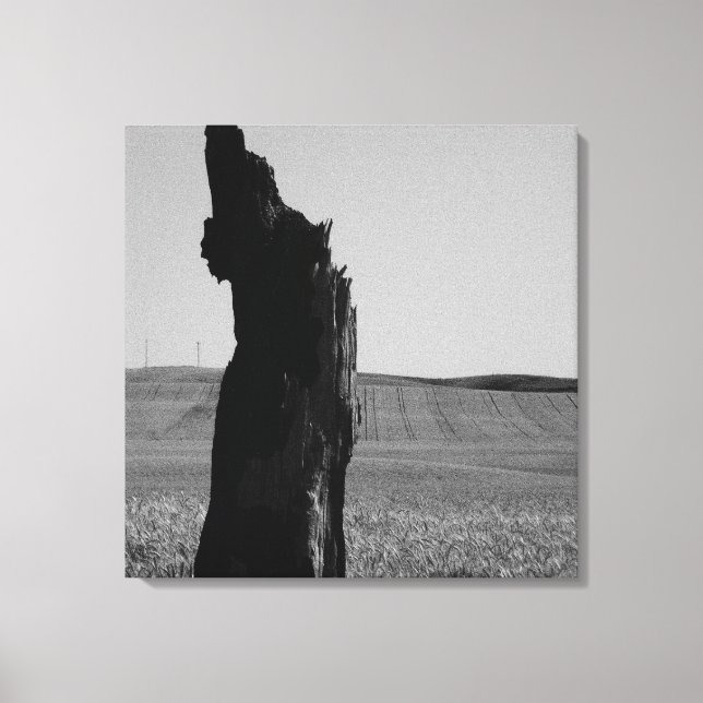 Sentinal Canvas Print (Front)