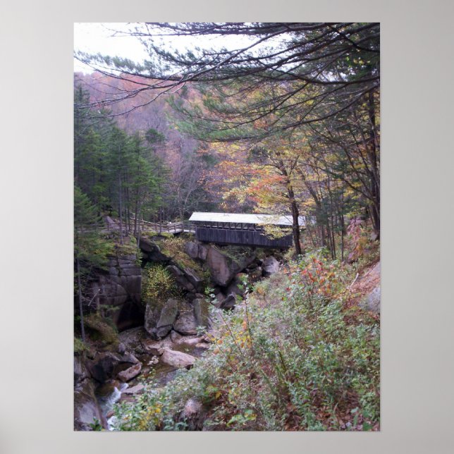Sentinel Bridge Fall Foliage Poster (Front)