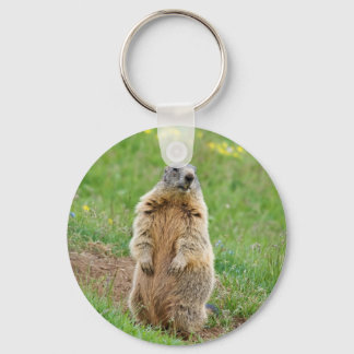 Sentinel marmot key ring