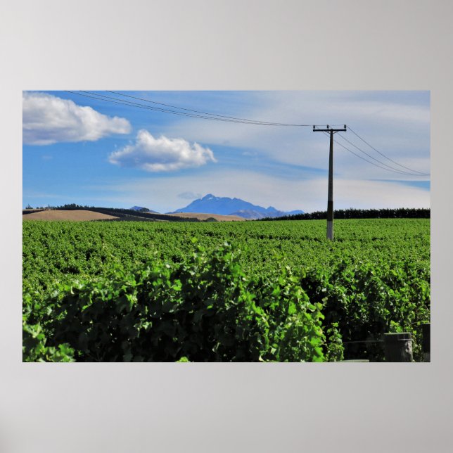 Sentinel Over the Vineyard Poster (Front)