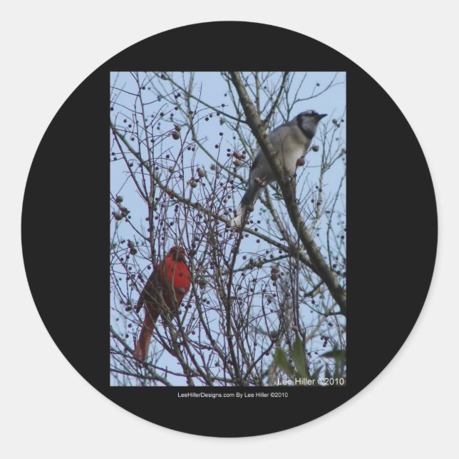 Sentinels Blue Jay and Cardinal by Lee Hiller Classic Round Sticker (Front)