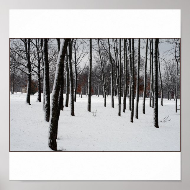 SENTRIES POSTER (Front)