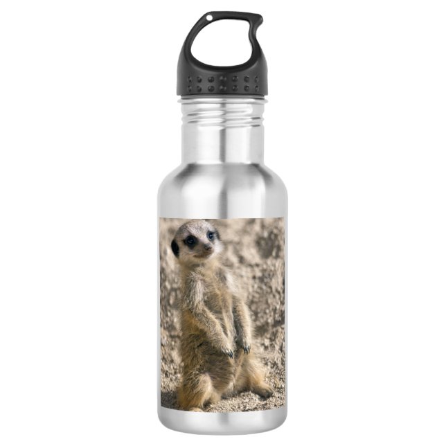 Sentry-in-Training 710 Ml Water Bottle (Front)