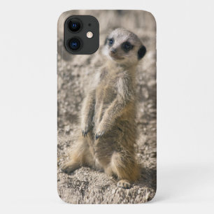Sentry-in-Training iPhone 11 Case