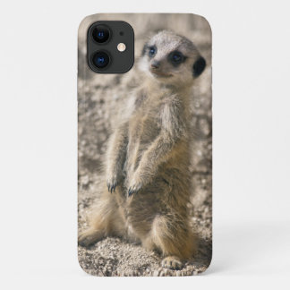 Sentry-in-Training iPhone 11 Case