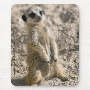 Sentry in Training Mousemat