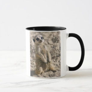 Sentry-in-Training Mug