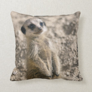 Sentry-in-Training Pillow