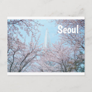 Seoul Cherry Blossom Postcard